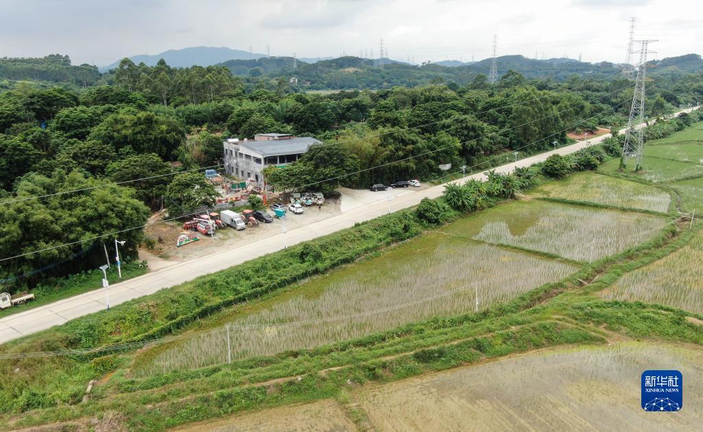 金狮娱乐改名了