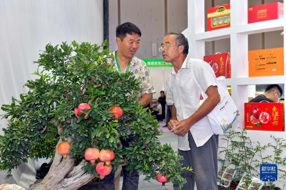 元游棋牌下载