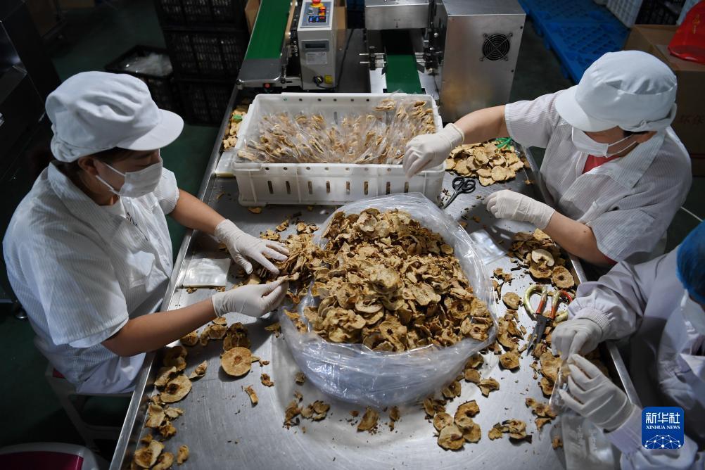 红宝石游戏平台官网